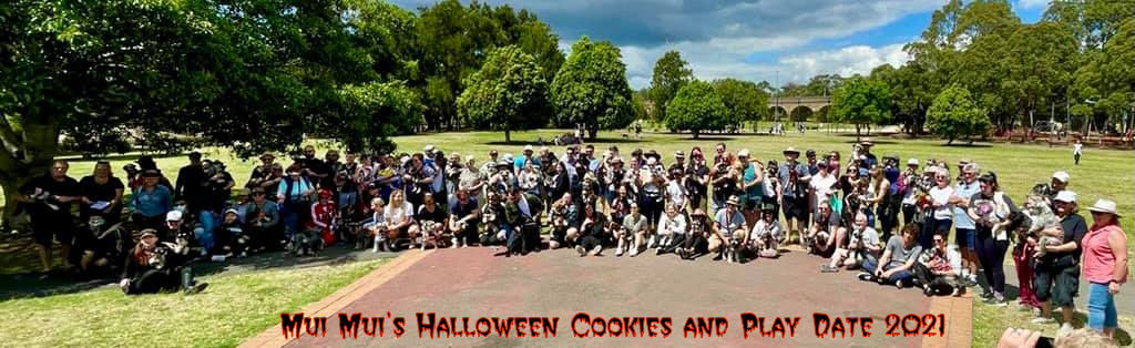 Halloween Group Photo