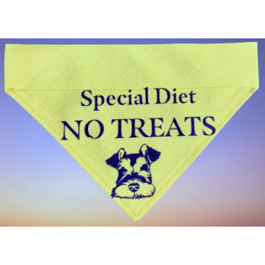 Special Diet Bandanna