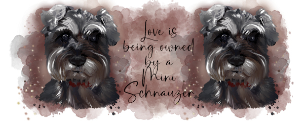 Owned_by_Mini_Schnauzer