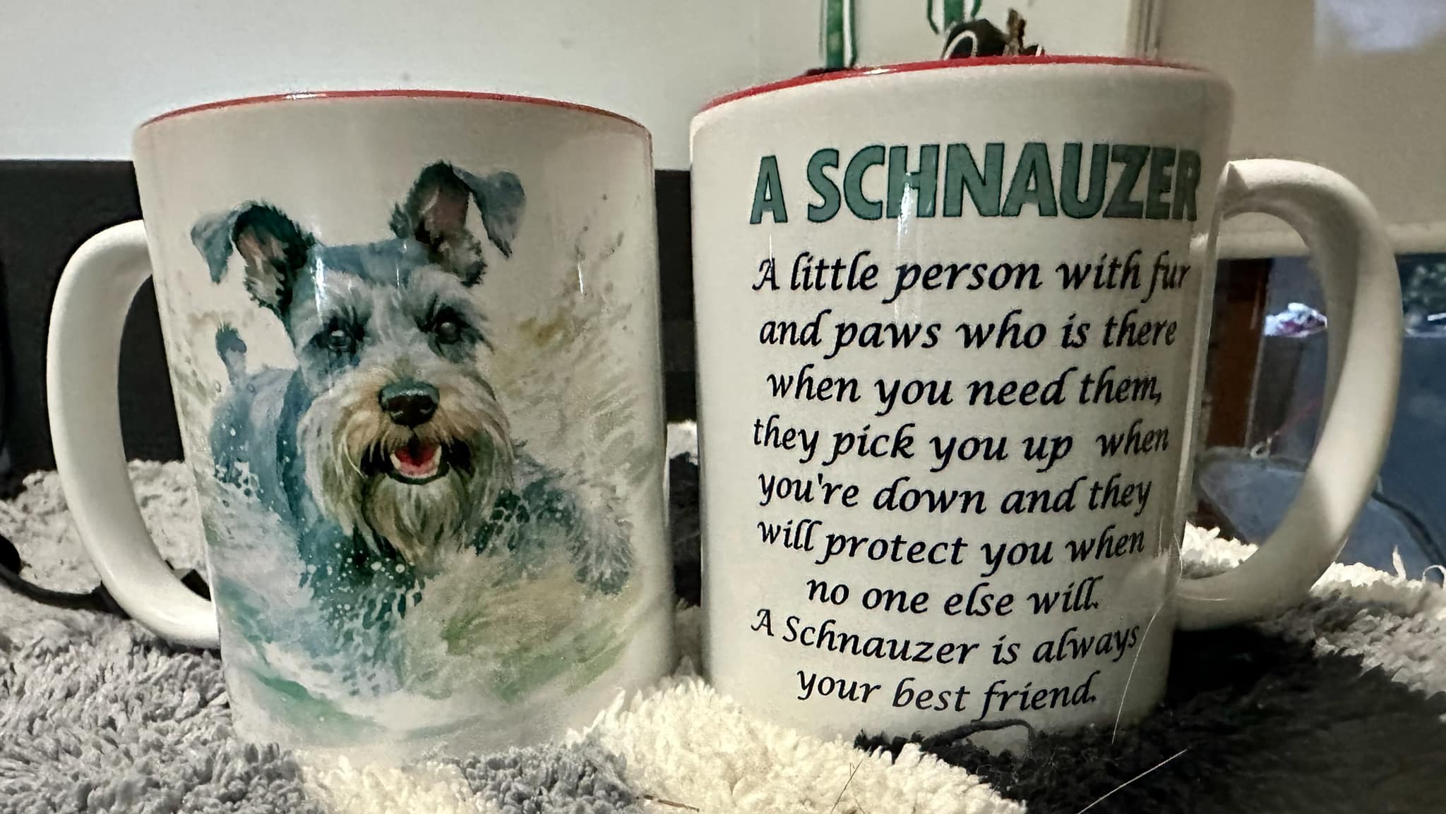 Schnauzer Poem